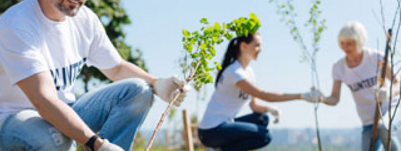 environmental-improvements-online-courses-learndirect
