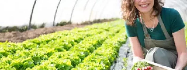 Horticulture Course Online Training Courses Learndirect horticulture-courses-horticulture-courses