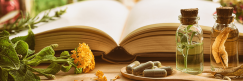 Exploring the potential of plant medicine and phytotherapy