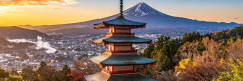 TEFL jobs in Japan: Why a structured internship beats going solo
