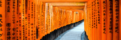 Your step-by-step guide to landing a paid TEFL internship in Japan