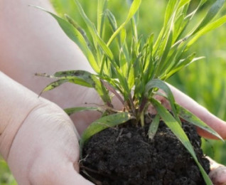 Environmental Courses
