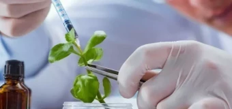 Level 3 Award Conservation Scientist (RQF)