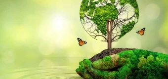 Wildlife Conservation Qualifications Package (with practical training)