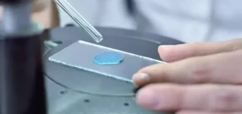 A-Level / iA-Level Biology including exams