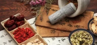 Chinese Medical Theory