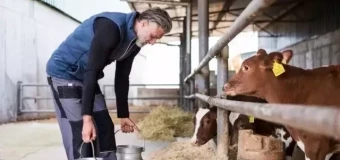 Level 3 Award in Farm Animal Studies (RQF)