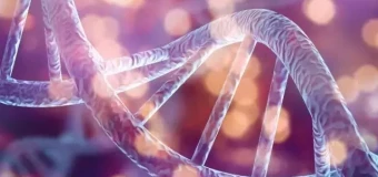 IGCSE Human Biology – including exams