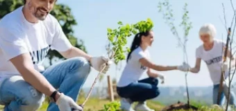 Environmental Improvements