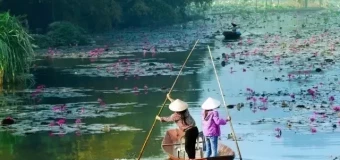 Paid TEFL Internship in Vietnam