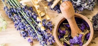 Herbalism - Clinical