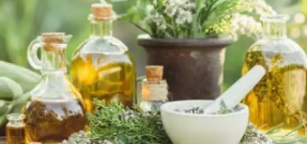 Medicinal Herbs