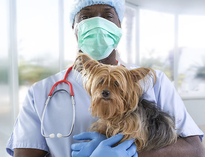 Veterinary Science and Animal Care Qualifications learndirect