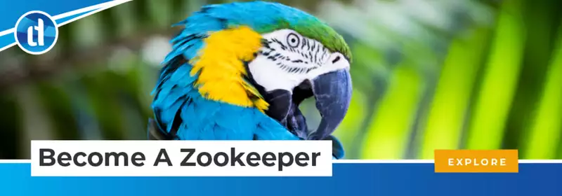 learndirect - become a Zookeeper