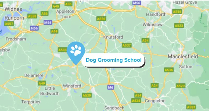 Dog grooming school
