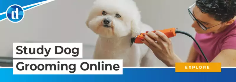 learndirect - Study dog and pet grooming online