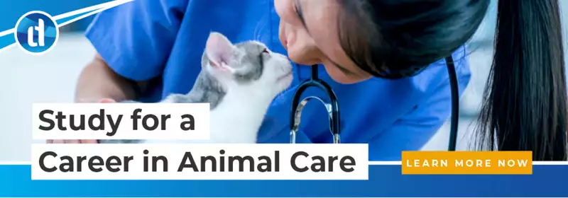 LD | Interesting Roles Working with Animals | CTA