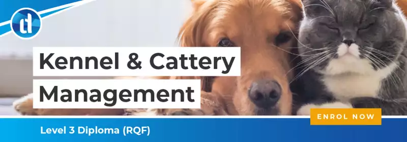 LD | Kennel and Cattery Management | CTA