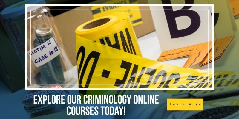 Online Criminology Courses learndirect