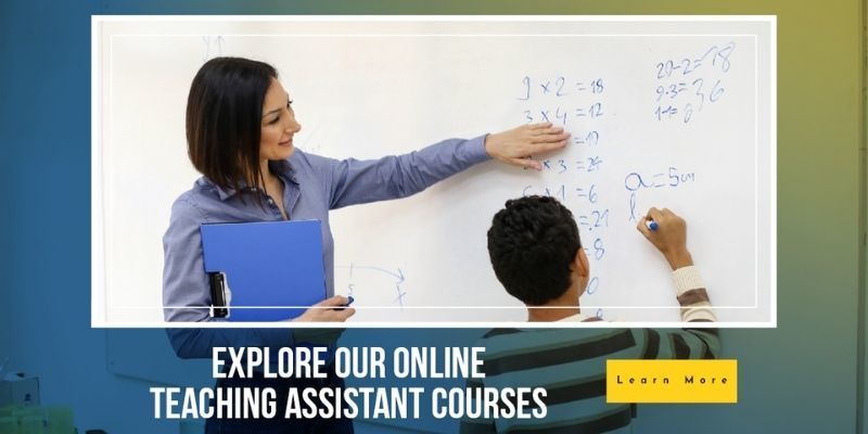 Online Teaching Assistant Courses - How to Become a Classroom Assistant - CACHE Level 3 Teaching Assistant Course - CACHE Level 3 Childcare and Education