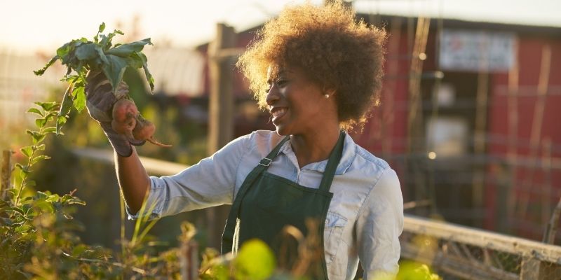 Studying Gardening Online