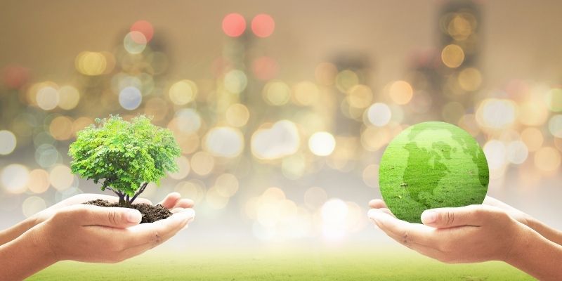 Study an environmental course