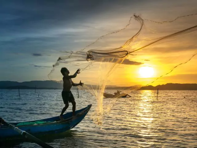 World Oceans Day - Over fishing - Ocean Conservation