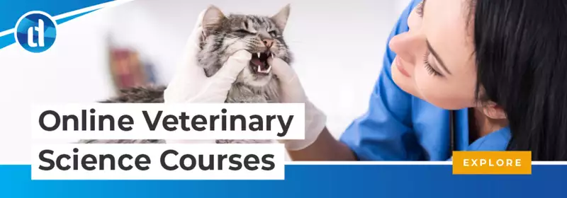 learndirect - View our Veterinary Science Courses