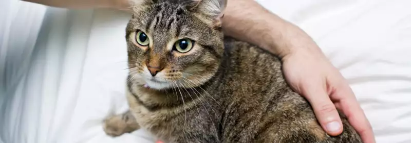 What Animal Care Course is right for me?