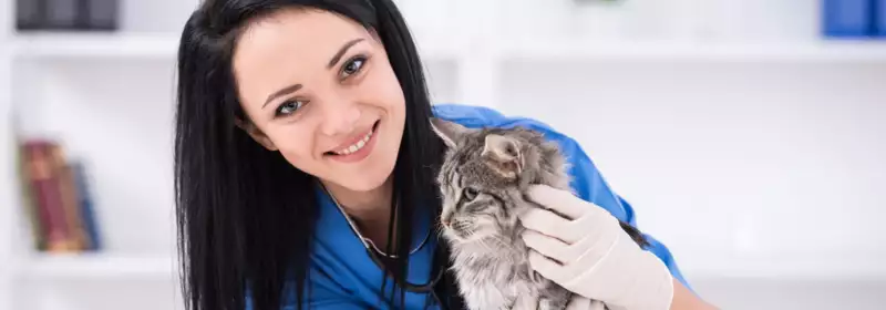 What advice would you give to an aspiring Vet Tech?