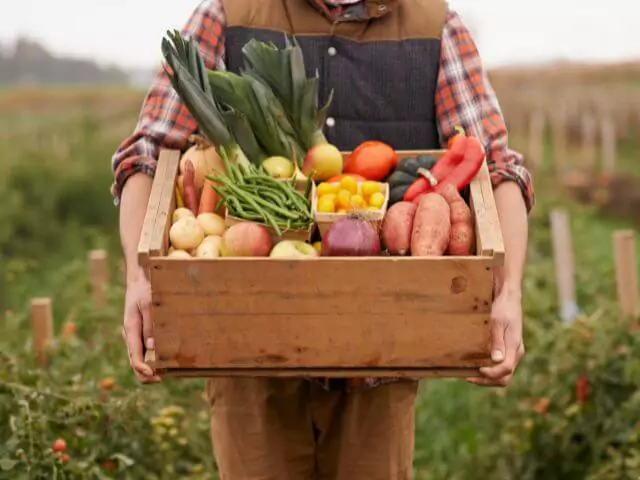 Farmer Holding Box Of Vegetables