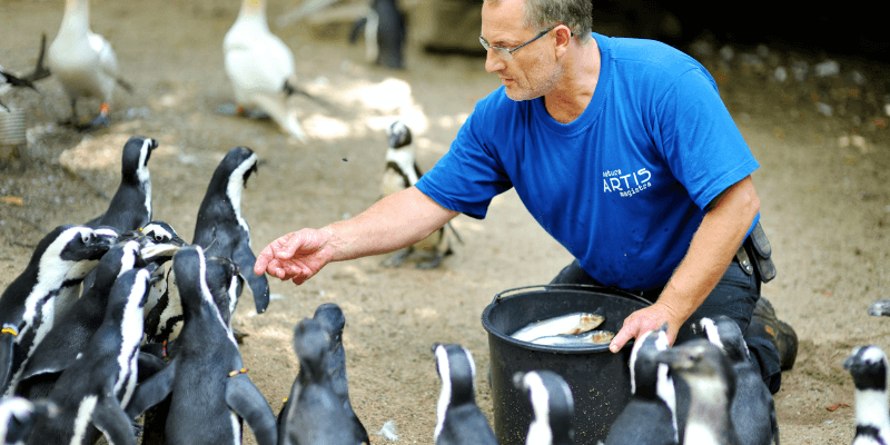How to become a zookeeper UK