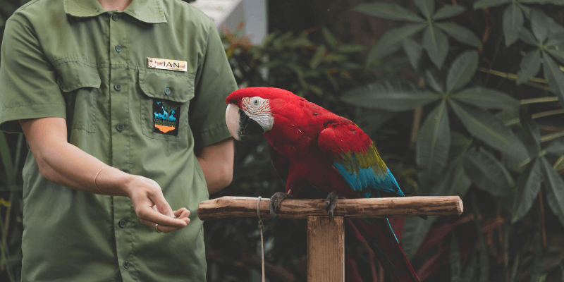 How to become a zookeeper online