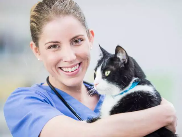 veterinary nurse holding black and white cat