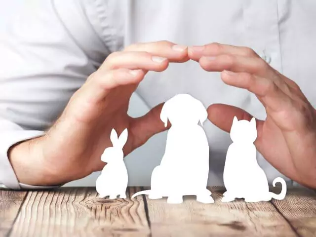 paper animals under mans hands