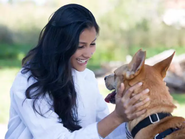 woman stroking dog