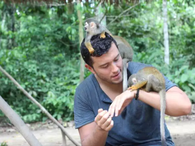 zookeeper with monkeys