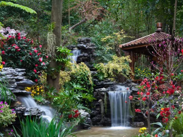 landscaped garden including plants and waterfall