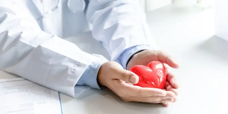 doctor holding red heart shape in hands