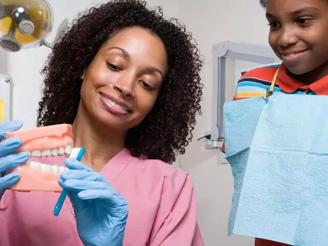 dental nurse showing example teeth to young boy