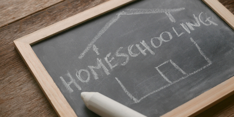 Homeschool vs public school