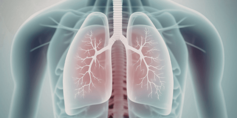 Careers in anatomy and physiology