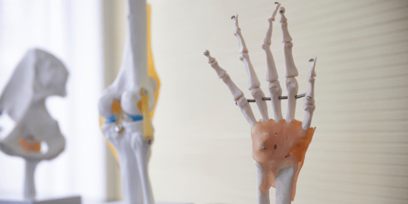 What is advanced anatomy and physiology?