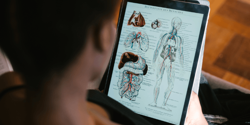 Learn anatomy and physiology online