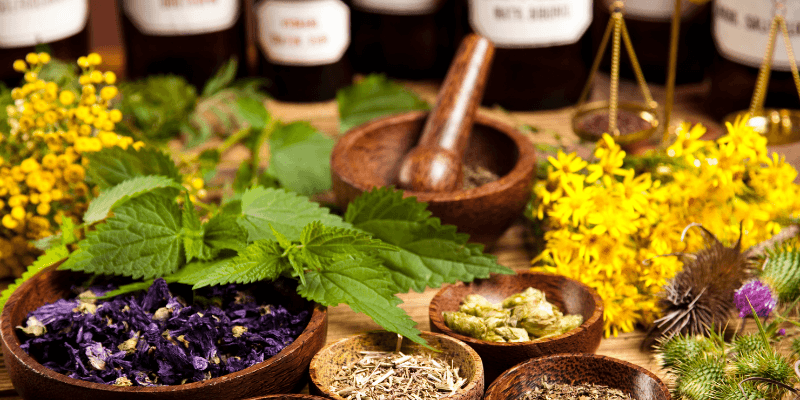 the-path-to-becoming-a-master-herbalist-and-building-a-career-in-plant-medicine