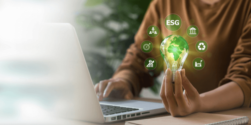 sustainability meaning in business