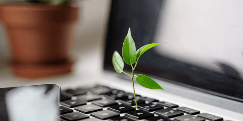 what is sustainable management