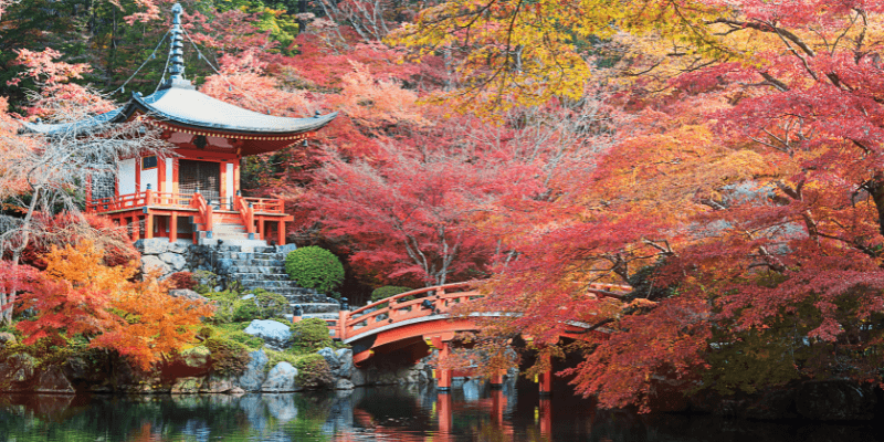 Teaching English in Japan without a degree - is it possible?