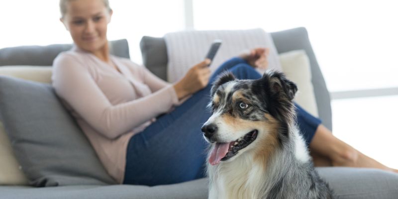 relaxed woman looking at dog
