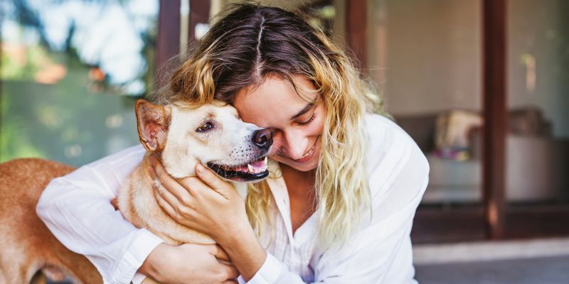 How Do Pets Reduce Stress?